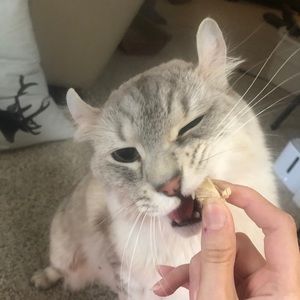 Meet your Posher, Bethany